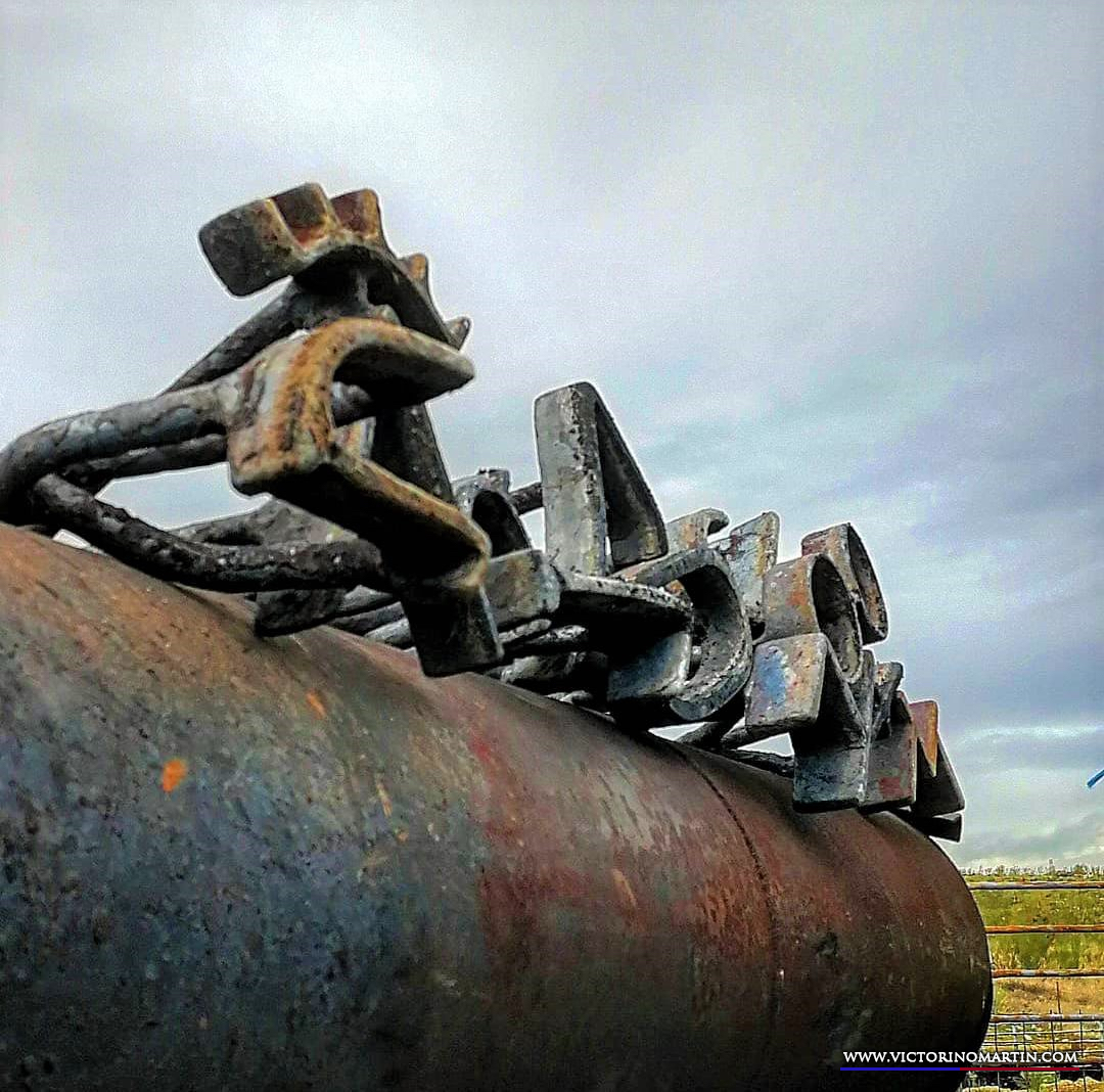 Herradero en Victorino Martín