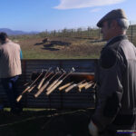 Herradero en Victorino Martín