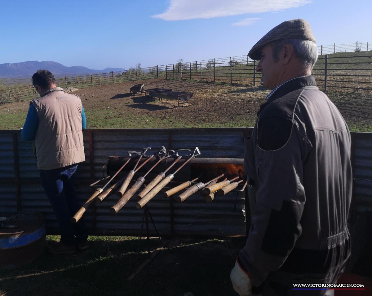 Herradero en Victorino Martín