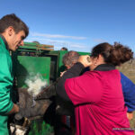 Herradero en Victorino Martín