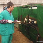 Herradero en Victorino Martín