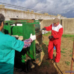 Herradero en Victorino Martín