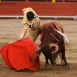 Lima (Perú), domingo 3 de noviembre de 2019.