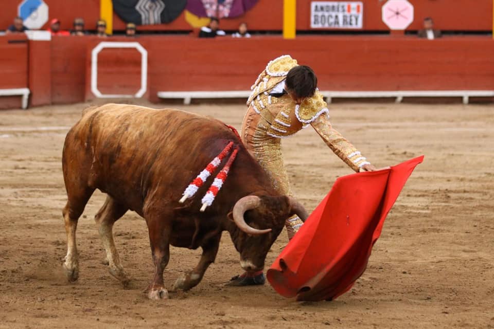 Lima (Perú), domingo 3 de noviembre de 2019.