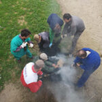 Herradero en Victorino Martín