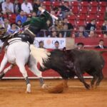 Ciudad de México (México), domingo 3 de noviembre de 2019.