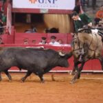 Ciudad de México (México), domingo 3 de noviembre de 2019.