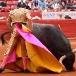 Ciudad de México. 24 de noviembre de 2019.