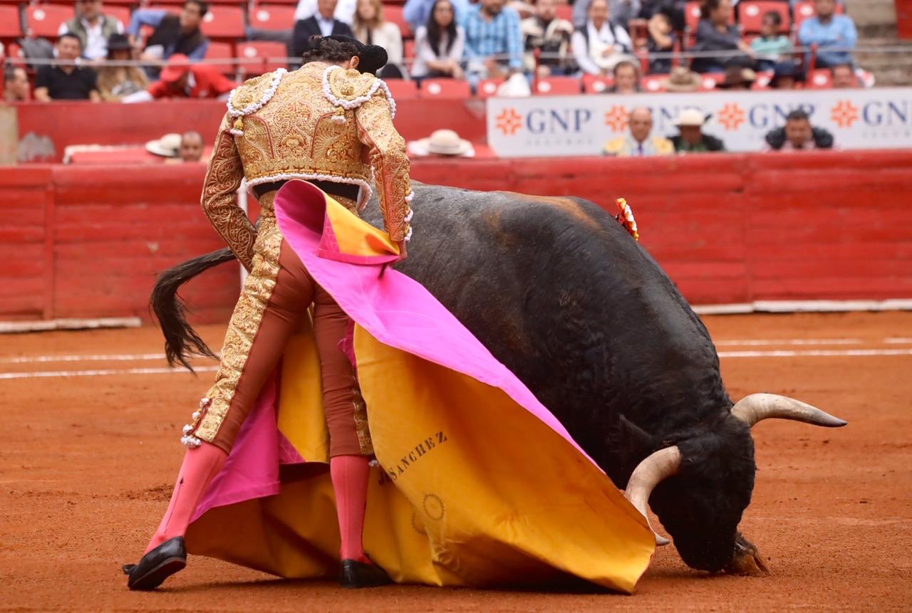 Ciudad de México. 24 de noviembre de 2019.