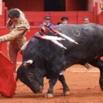 Ciudad de México. 24 de noviembre de 2019.