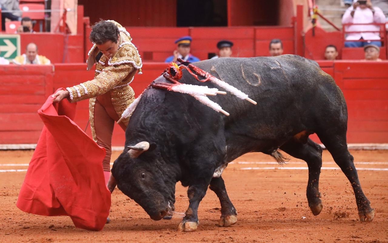 Ciudad de México. 24 de noviembre de 2019.