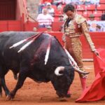 Ciudad de México. 24 de noviembre de 2019.