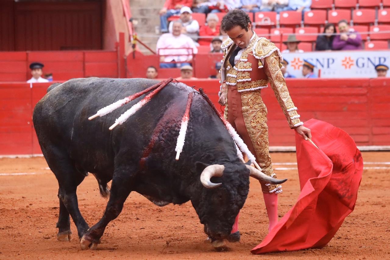 Ciudad de México. 24 de noviembre de 2019.