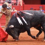 Ciudad de México. 24 de noviembre de 2019.