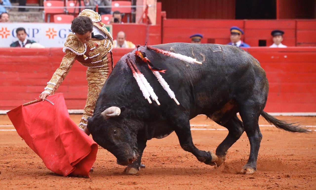 Ciudad de México. 24 de noviembre de 2019.