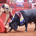 Ciudad de México. Domingo, 24 de noviembre de 2019.