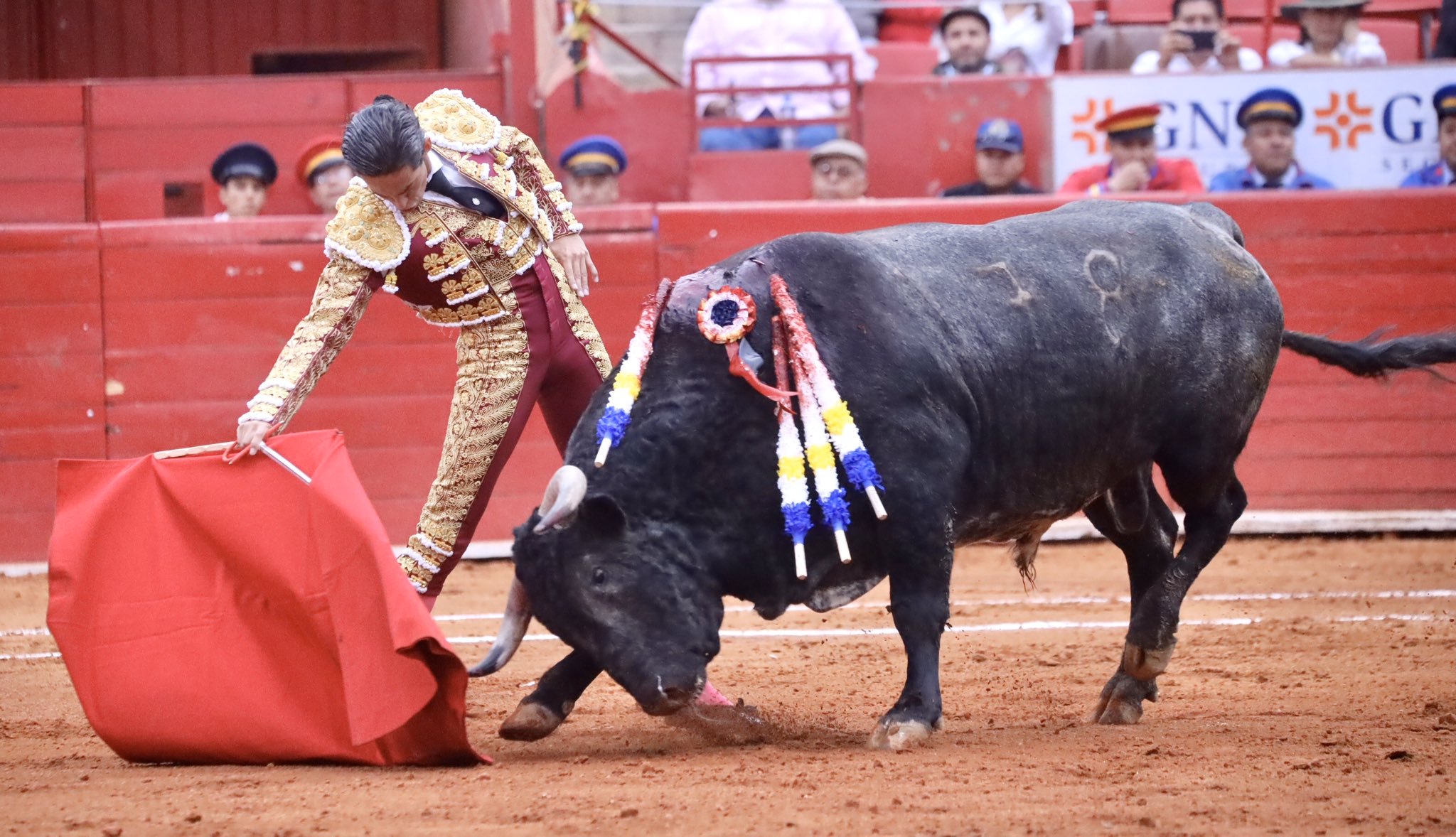 Ciudad de México. Domingo, 24 de noviembre de 2019.