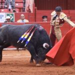 Ciudad de México. Domingo, 24 de noviembre de 2019.