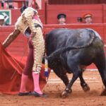 Ciudad de México. Domingo, 24 de noviembre de 2019.