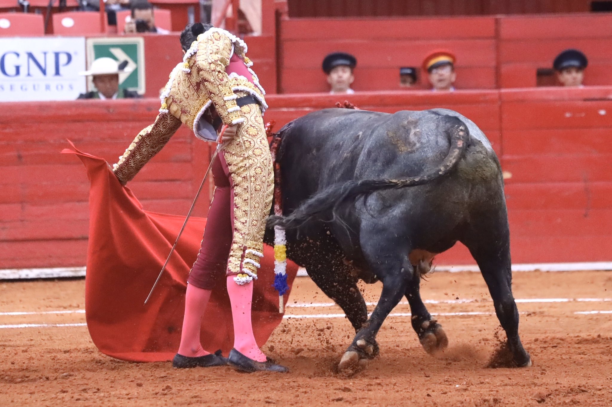 Ciudad de México. Domingo, 24 de noviembre de 2019.