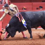 Ciudad de México. Domingo, 24 de noviembre de 2019.