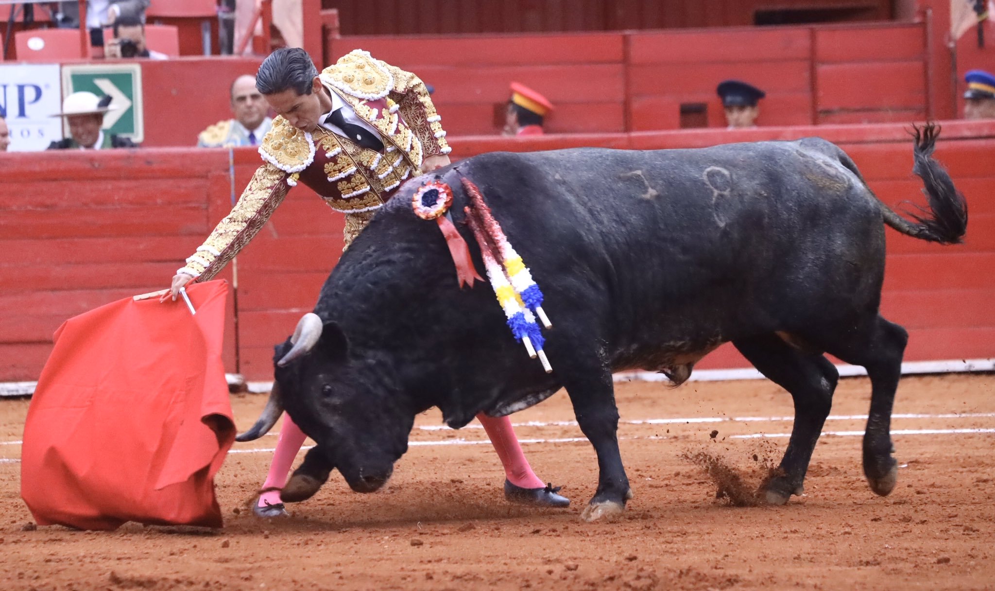 Ciudad de México. Domingo, 24 de noviembre de 2019.