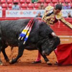 Ciudad de México. Domingo, 24 de noviembre de 2019.