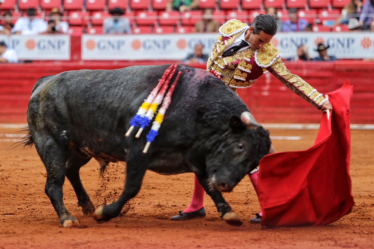 Ciudad de México. Domingo, 24 de noviembre de 2019.