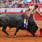 Ciudad de México. Domingo, 24 de noviembre de 2019.