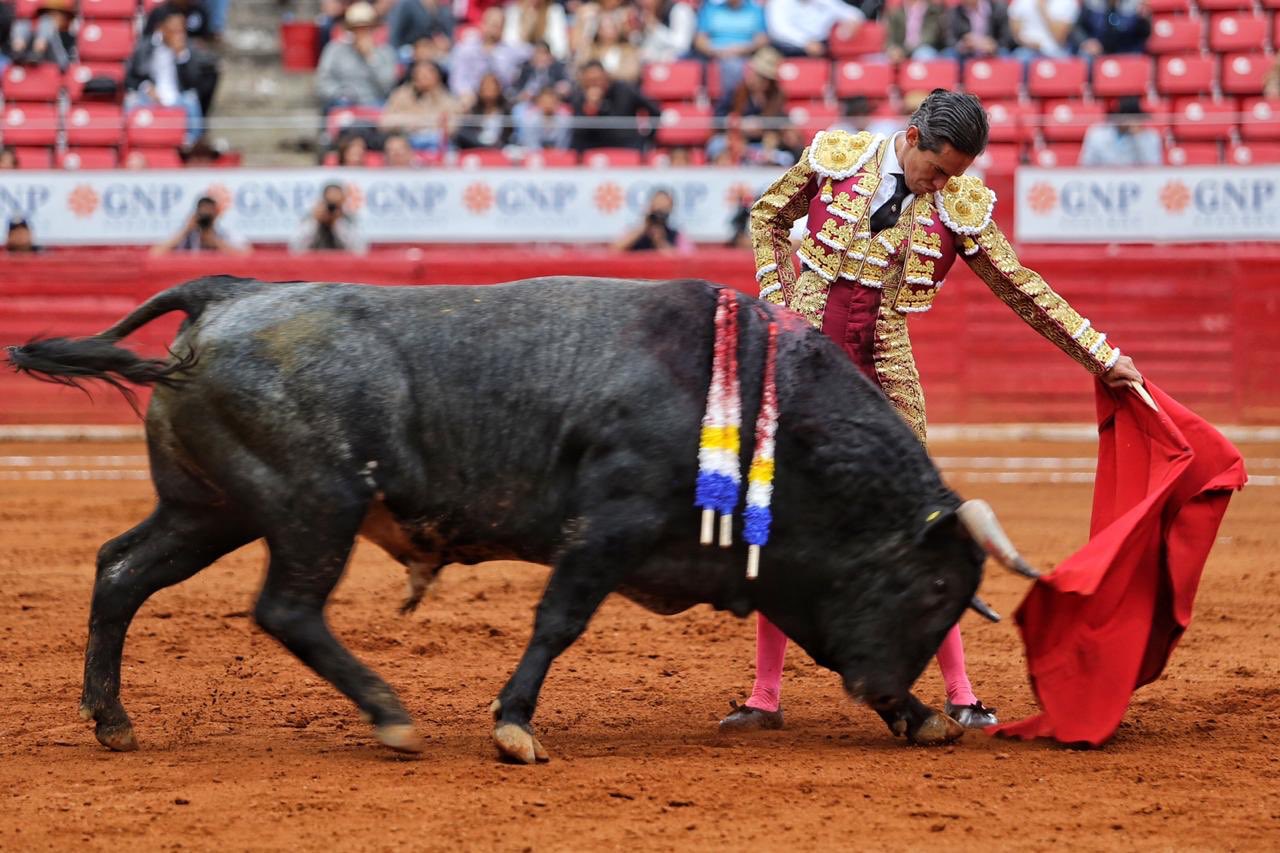 Ciudad de México. Domingo, 24 de noviembre de 2019.