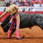 Ciudad de México. Domingo, 24 de noviembre de 2019.