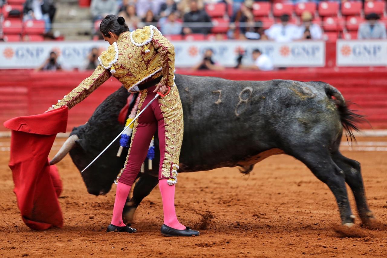 Ciudad de México. Domingo, 24 de noviembre de 2019.