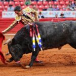 Ciudad de México. Domingo, 24 de noviembre de 2019.