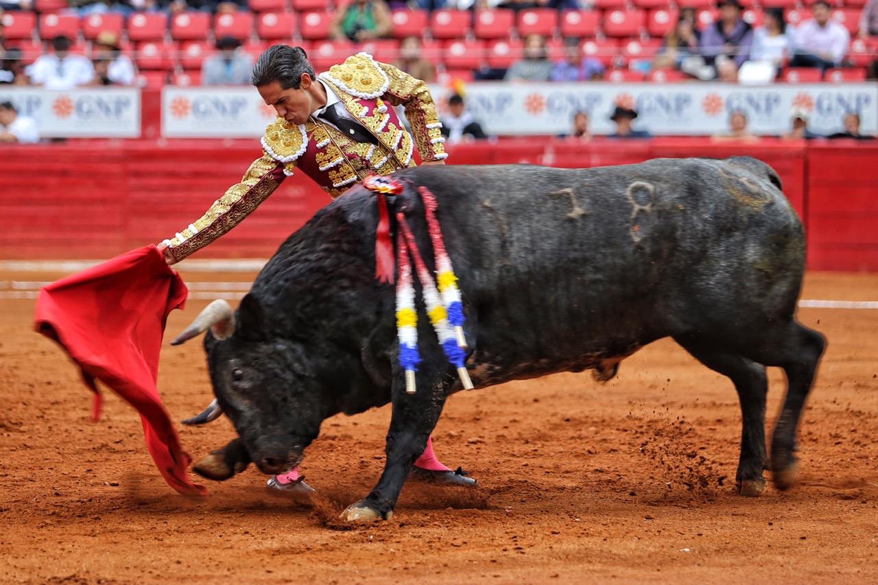 Ciudad de México. Domingo, 24 de noviembre de 2019.