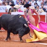 Ciudad de México. Domingo, 24 de noviembre de 2019.