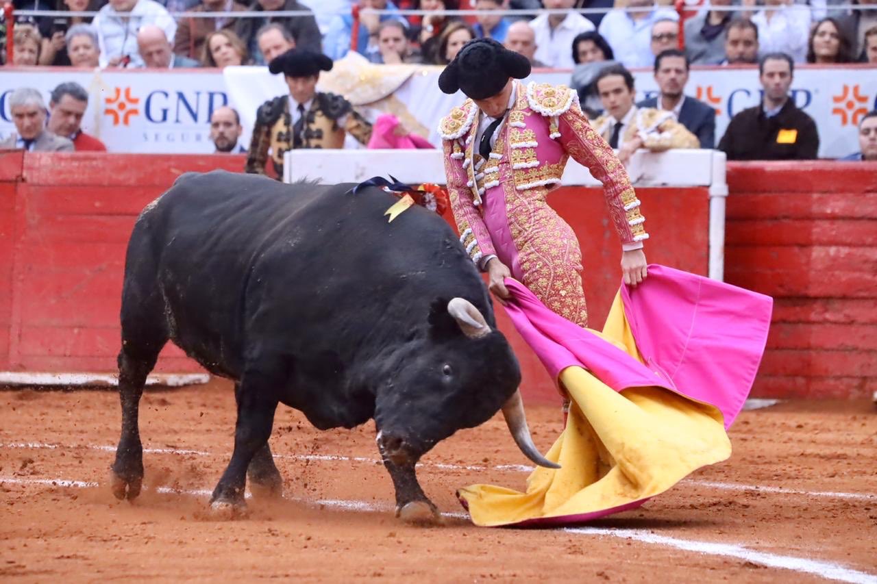 Ciudad de México. Domingo, 24 de noviembre de 2019.