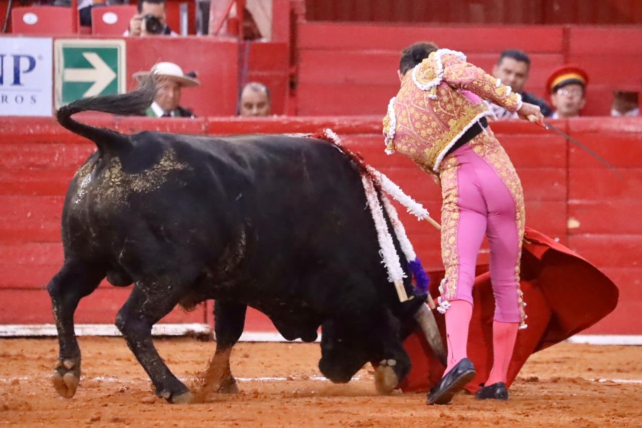 Ciudad de México. Domingo, 24 de noviembre de 2019.