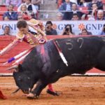 Ciudad de México. Domingo, 24 de noviembre de 2019.