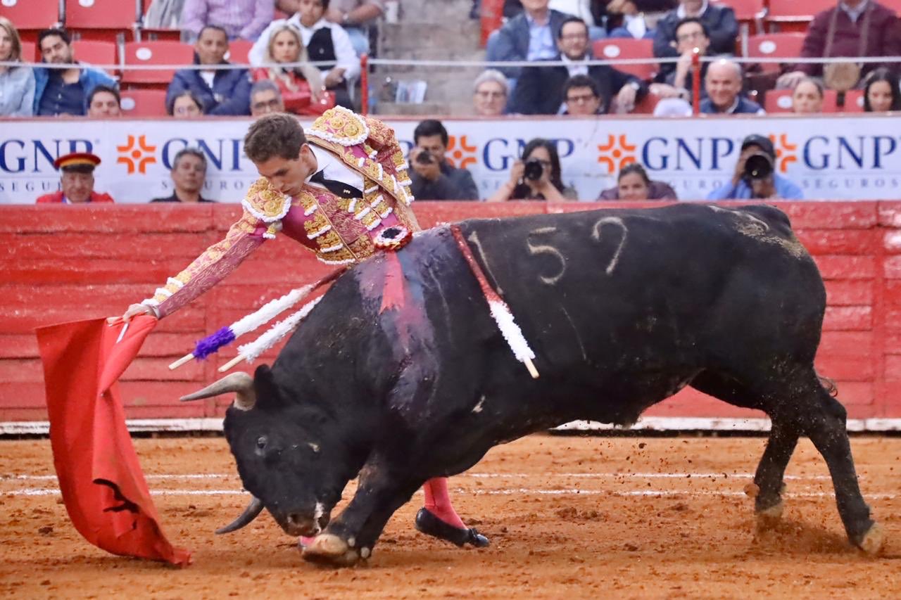 Ciudad de México. Domingo, 24 de noviembre de 2019.