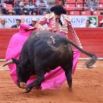 Ciudad de México. Domingo, 24 de noviembre de 2019.