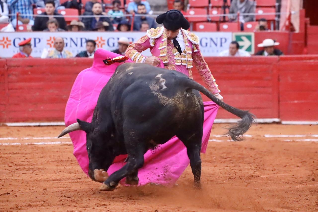 Ciudad de México. Domingo, 24 de noviembre de 2019.