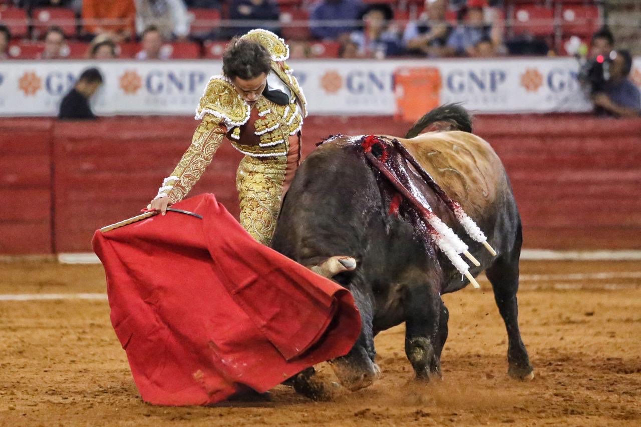 Ciudad de México. Domingo, 24 de noviembre de 2019.