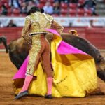 Ciudad de México. Domingo, 24 de noviembre de 2019.