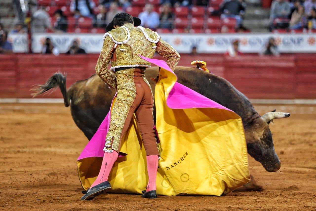 Ciudad de México. Domingo, 24 de noviembre de 2019.