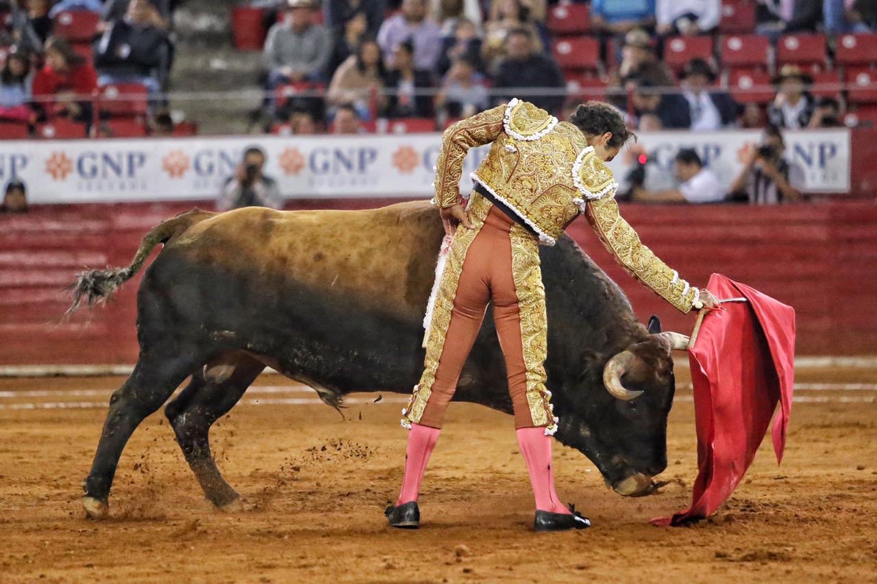 Ciudad de México. Domingo, 24 de noviembre de 2019.