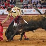 Ciudad de México. Domingo, 24 de noviembre de 2019.