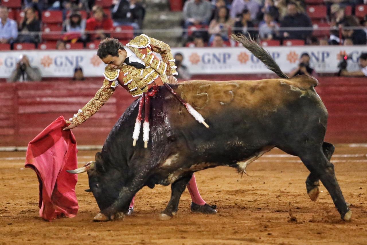 Ciudad de México. Domingo, 24 de noviembre de 2019.