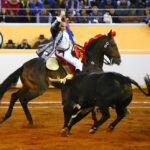 Juriquilla, viernes 1 de noviembre de 2019