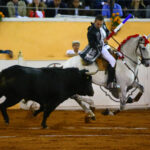 Juriquilla, viernes 1 de noviembre de 2019