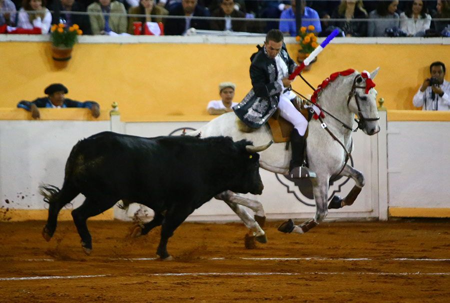 Juriquilla, viernes 1 de noviembre de 2019